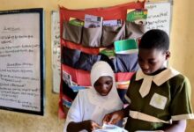 التعليم في النيجر