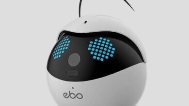 الروبوت ايبو