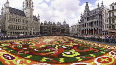 مدينة بروكسل