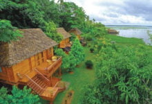 ولاية كيرلا