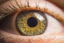 اكتشاف علمي: تطوير مادة كهرومغناطيسية لإصلاح الأعصاب المتضررة