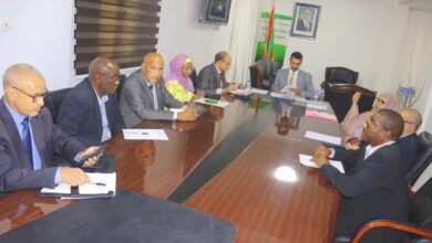 السلطة العليا للصحافة توافق على تعيين السنية بنت سيدي هيبة كمديرة عامة لقناة الموريتانية