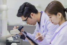 علماء يصممون لاصقات ماصة مستوحاة من الأخطبوط قادرة على توصيل الأدوية