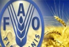 أسعار الغذاء العالمية تتجه نحو أدنى مستوى في أكثر من عامين