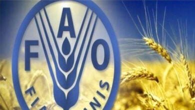 أسعار الغذاء العالمية تتجه نحو أدنى مستوى في أكثر من عامين