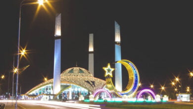 موقع منطقة البجادية