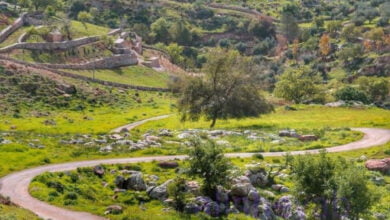 الفحيص تاريخها وموقعها