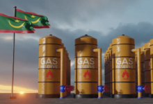 تصدير أول شحنة غاز لموريتانيا متوقعة في منتصف 2024
