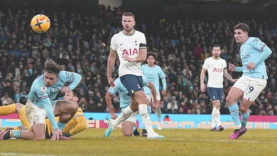 مشاهدة مباراة برايتون ضد توتنهام