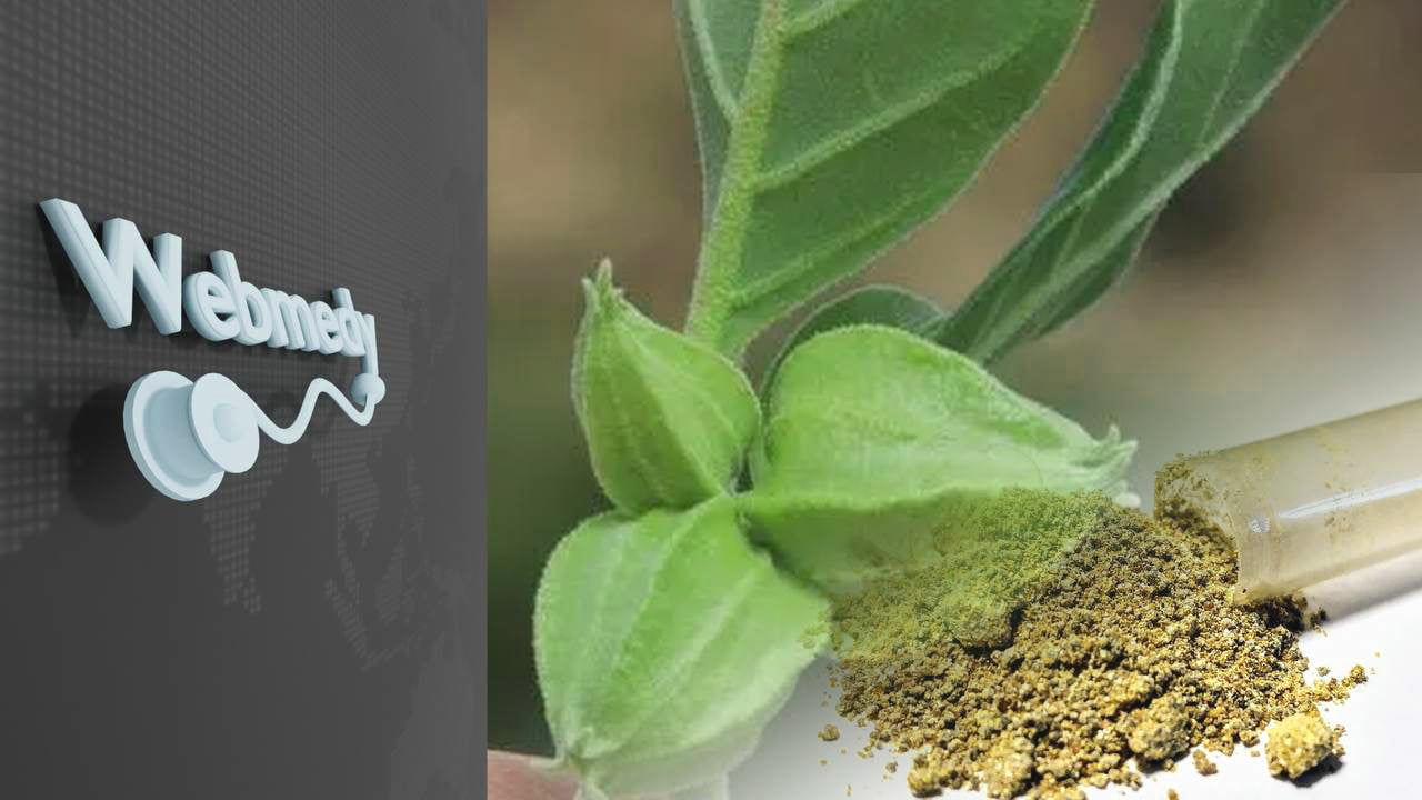 أفضل وقت لتناول الأشواغاندا؟ وهل تسبب الإجهاض؟
