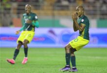 مباراة تونس وجنوب إفريقيا