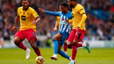 مشاهدة مباراة برايتون ضد شيفيلد يونايتد