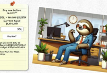 إرسال عملات سولانا بقيمة 1.5 مليون دولار إلى عملة ميم جديدة