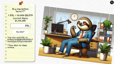 إرسال عملات سولانا بقيمة 1.5 مليون دولار إلى عملة ميم جديدة