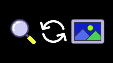 المنصات الأكثر استخدامًا لإجراء عكسي بحث بالصور!