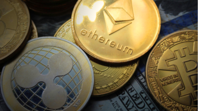 انهيار العملات الرقمية الكبرى إلا واحدة والخسائر بلغت 800 مليون دولار