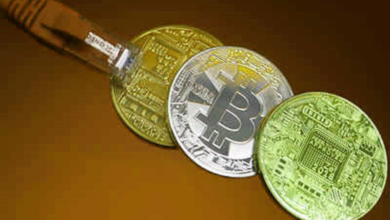 عملة ميم صغيرة تحقق أداء قياسي وتتجاوز المنافسين