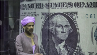 فيتش: اتخاذ قرار بشأن تصنيف مصر يحتاج دليلا على استمرارية الإصلاحات