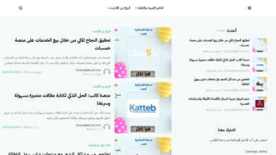 كيفية تحقيق الربح عبر الإنترنت؟