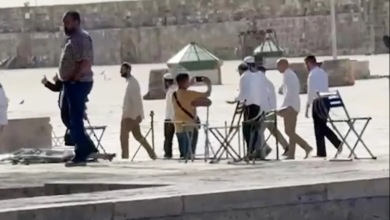 مستوطنون يقتحمون باحات الأقصى بأول أيام عيد الفصح اليهودي