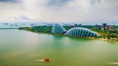 تقييم السعودية لمشروع نيوم: تحت المجهر في بلومبيرغ