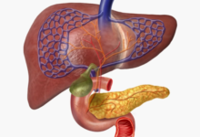 كيفية تحسين صحة هرمونات جسمك من خلال عادات يومية