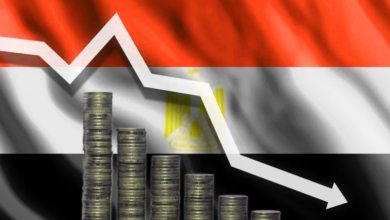 القطاع الاقتصادي في مصر لم يستفد من اتفاقية صندوق النقد الدولي