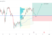 حجم التداول اليومي لهذه العملة يبلغ 13.5 مليار دولار.. هل تجذب الحيتان؟