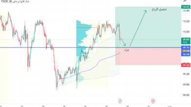 حجم التداول اليومي لهذه العملة يبلغ 13.5 مليار دولار.. هل تجذب الحيتان؟