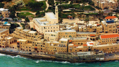 معلومات عن مدينة يافا