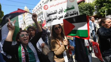 مسؤولة أممية: الإبادة الجماعية في غزة تذكرنا بالهولوكوست