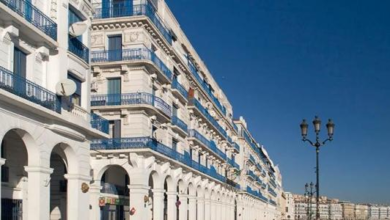 وصف مدينة الجزائر