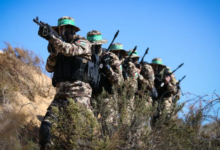 عالم سياسة أميركي: حماس تنتصر وإستراتيجية إسرائيل فاشلة