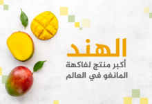 أكبر 10 دول في إنتاج وتصدير فاكهة المانجو ومصر تتصدر عربياً