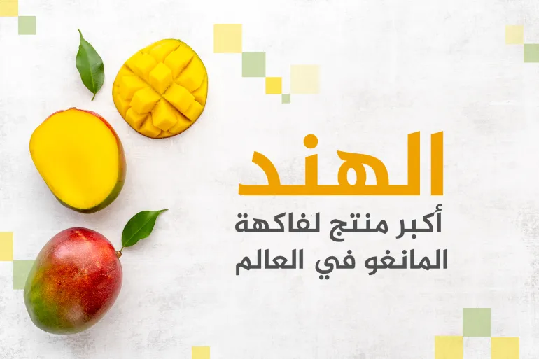 أكبر 10 دول في إنتاج وتصدير فاكهة المانجو ومصر تتصدر عربياً