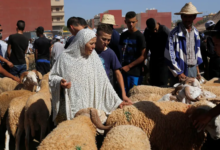 الجفاف في المغرب يرهق جيوب الراغبين بشراء أضاحي العيد
