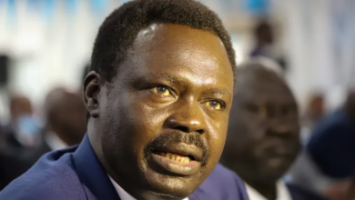 حاكم إقليم دارفور يناشد المجتمع الدولي لمساعدة "الجنائية الدولية"