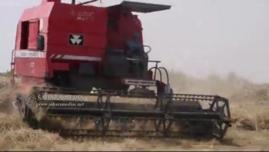 وزير الزراعة: موريتانيا قريبة من تحقيق الاكتفاء الذاتي في الأرز