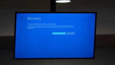 هذا هو خطأ "كراود سترايك" الذي أوقف العالم عن الدوران