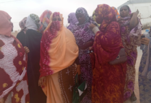 نساء نواذيبو يعبرن عن استيائهن من تقليص تمويل مشاريعهن ويناشدن الرئيس بالتدخل