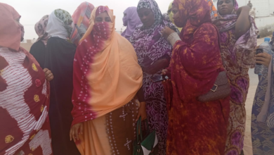 نساء نواذيبو يعبرن عن استيائهن من تقليص تمويل مشاريعهن ويناشدن الرئيس بالتدخل