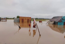 والي الحوض الغربي المساعد يكشف عن حجم الأضرار جراء السيول في قرية بغداد