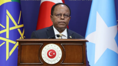 وزير خارجية إثيوبيا يدعو مصر والصومال إلى حل الخلافات عبر الحوار ويعبر عن قلقه من التدخلات الخارجية