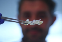 باستخدام صبغة الطعام، باحثون في جامعة ستانفورد يحققون شفافية مؤقتة لأجسام الفئران