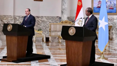 مصر تدخل بقوة على خط الأزمة الصومالية: اتفاقية عسكرية مع مقديشو وتحركات دبلوماسية لتعزيز النفوذ في القرن الأفريقي