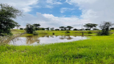 تهاطلات مطرية على مناطق متفرقة من 4 ولايات