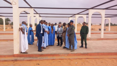 بعثة تضم 11 وزارة تقوم بزيارة مدينة شنقيط