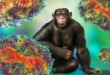 منظمة الصحة العالمية: ارتفاع عدد حالات جدري القردة في أفريقيا وانتشار المرض في مناطق جديدة