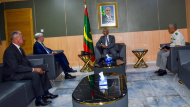 تعزيز التعاون الدفاعي بين موريتانيا والاتحاد الأوروبي