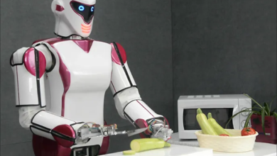 تطور الروبوتات: من المحاكاة إلى الواقع في بيئات ديناميكية